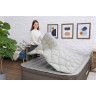 Надувная кровать BESTWAY FORTECH 69145 152x203x51см, до 350кг 69145 BW